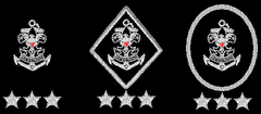 Sea Scout flotilla officers.png