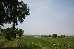 View towards Horncastle - geograph.org.uk - 197302.jpg