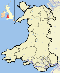Coed-y-Brenin is located in Wales2