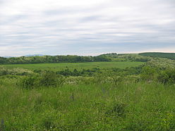 Ibafa, landscape, hungary, 2006.jpg
