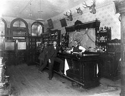 Toll Gate Saloon, Black Hawk, Colorado circa 1897