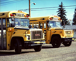 Two generations of the GM B-Series bus chassis (Blue Bird bodies)