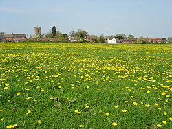 All Saints church and Church Leigh village.jpg