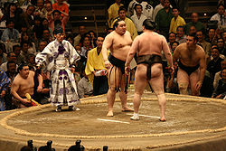 Asashoryu and Hakuho glare at each other 2008 May.jpg