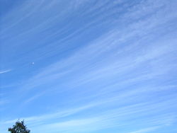 Long, thin, straight cirrus against a blue sky on the left merging to cirrocumulus on the right