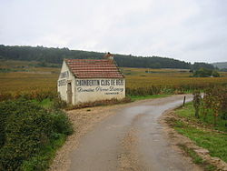 Clos de Beze.JPG