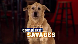 Complete Savages 2004 Intertitle.png