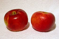 Cortland apples.jpg