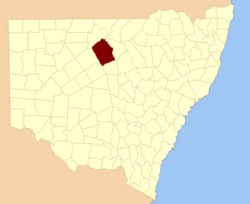 Cowper NSW.PNG