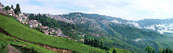 A panoramic view of a hill range. The upper portions of the nearer hillsides have tiled houses, while the farther hillsides and the lower portions of the nearer ones are covered with green bushes. A few coniferous trees are scattered throughout.