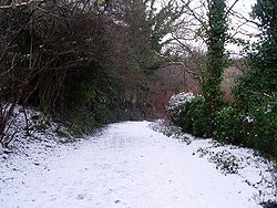 A snowy footpath through a wooded area in Dawsholm Park.}}