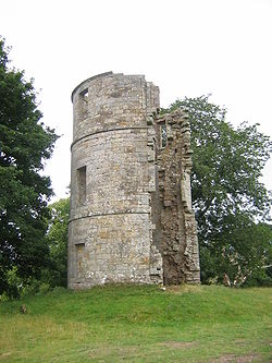 The remains of Douglas Castle today