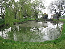 Area of still water surrounded by trees and grass.