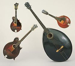 Gibson-mandolin-orchestra.jpg
