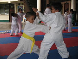 JJS Karate Kids on Training.jpg