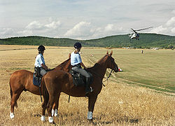 Two mounted policewomen in field, looking at helicopter