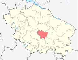 Location of Novoselitsky District (Stavropol Krai).svg
