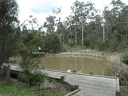 Millers Pond in Currawong Bush Park