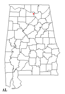 Location of Decatur, Alabama