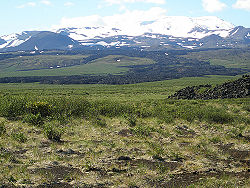 A landscape of grass, with a large mountain looming in the background.