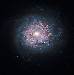 NGC 3982 galaxy hubble.jpg