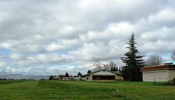 Olinger Strip - near Hillsboro, Oregon.JPG