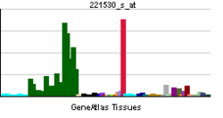 PBB GE BHLHB3 221530 s at tn.png