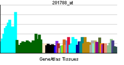 PBB GE DDX42 201788 at tn.png