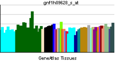 PBB GE DEPDC6 gnf1h09628 s at tn.png