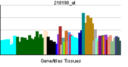 PBB GE DHX32 218198 at tn.png