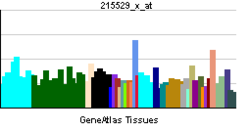 PBB GE DIP2A 215529 x at tn.png