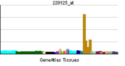 PBB GE DNAI1 220125 at tn.png