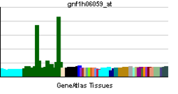 PBB GE DPP10 gnf1h06059 at tn.png