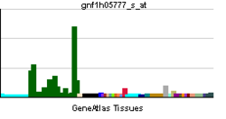 PBB GE DPP6 gnf1h05777 s at tn.png