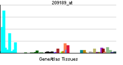 PBB GE FOS 209189 at tn.png