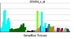 PBB GE NAP1L4 201414 s at tn.png