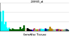 PBB GE NCOA1 209105 at tn.png