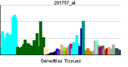 PBB GE NDUFS5 201757 at tn.png