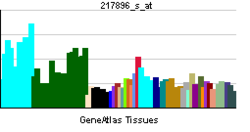 PBB GE NIP30 217896 s at tn.png