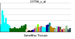 PBB GE NPLOC4 217796 s at tn.png