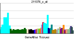 PBB GE NSMCE4A 211376 s at tn.png