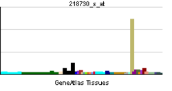 PBB GE OGN 218730 s at tn.png