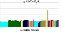 PBB GE OR5AS1 gnf1h05457 at tn.png