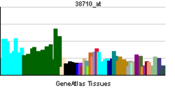 PBB GE OTUB1 38710 at tn.png