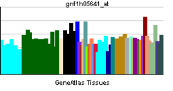 PBB GE PACS1 gnf1h05641 at tn.png