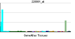 PBB GE PADI4 220001 at tn.png