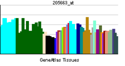 PBB GE PCBP3 205663 at tn.png