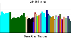 PBB GE PCDHA2 211365 s at tn.png