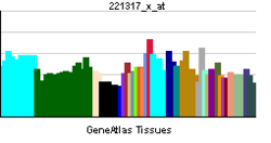 PBB GE PCDHB13 221317 x at tn.png