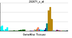 PBB GE PDXK 202671 s at tn.png